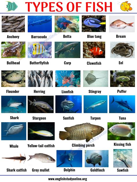 list of fish.